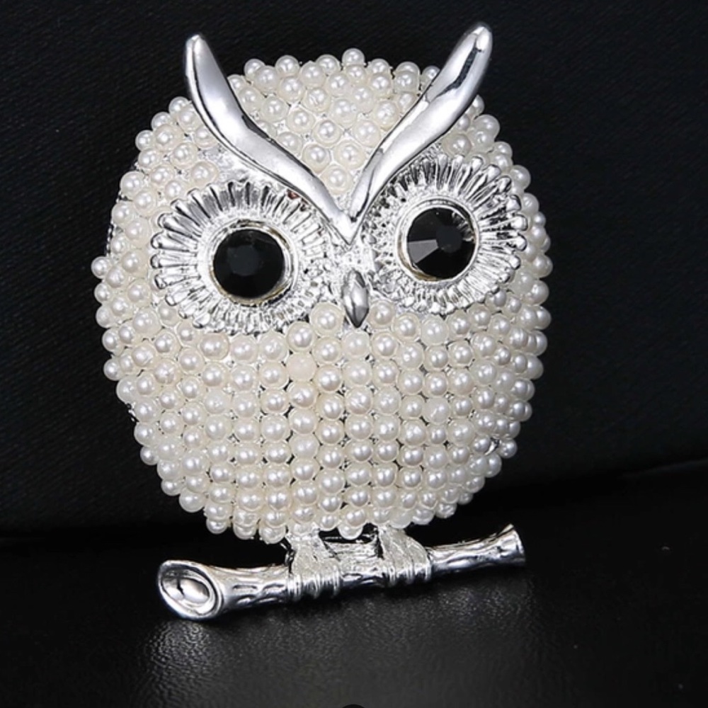 Owl pearl/rhinestone brooch.silver colored.NWT